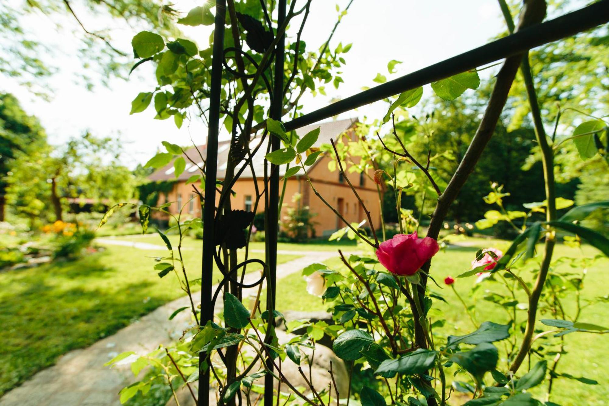 Apartment Feriendomizil Alter Garten